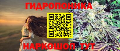ГАЛЛЮЦИНОГЕННЫЕ ГРИБЫ Майкоп
