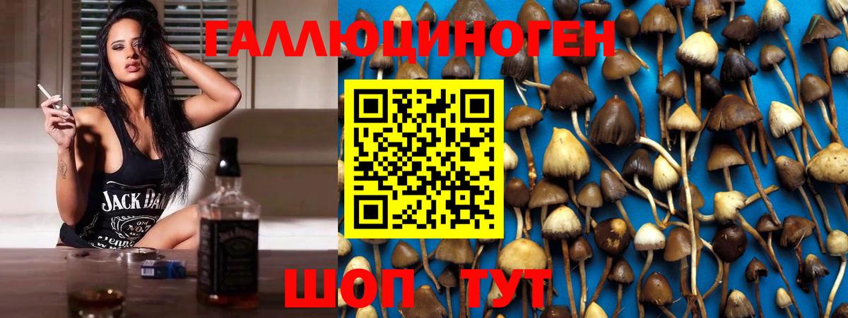 Котовск  Галлюциногенные грибы GOLDEN TEACHER  Вход с VPN  Галлюциногенные грибы MAGIC MUSHROOMS 