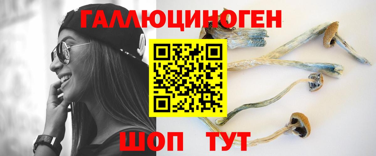 Галлюциногенные грибы GOLDEN TEACHER Котовск